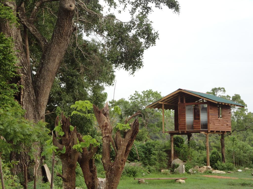Sigiri Forest View Sigiriya Exterior foto