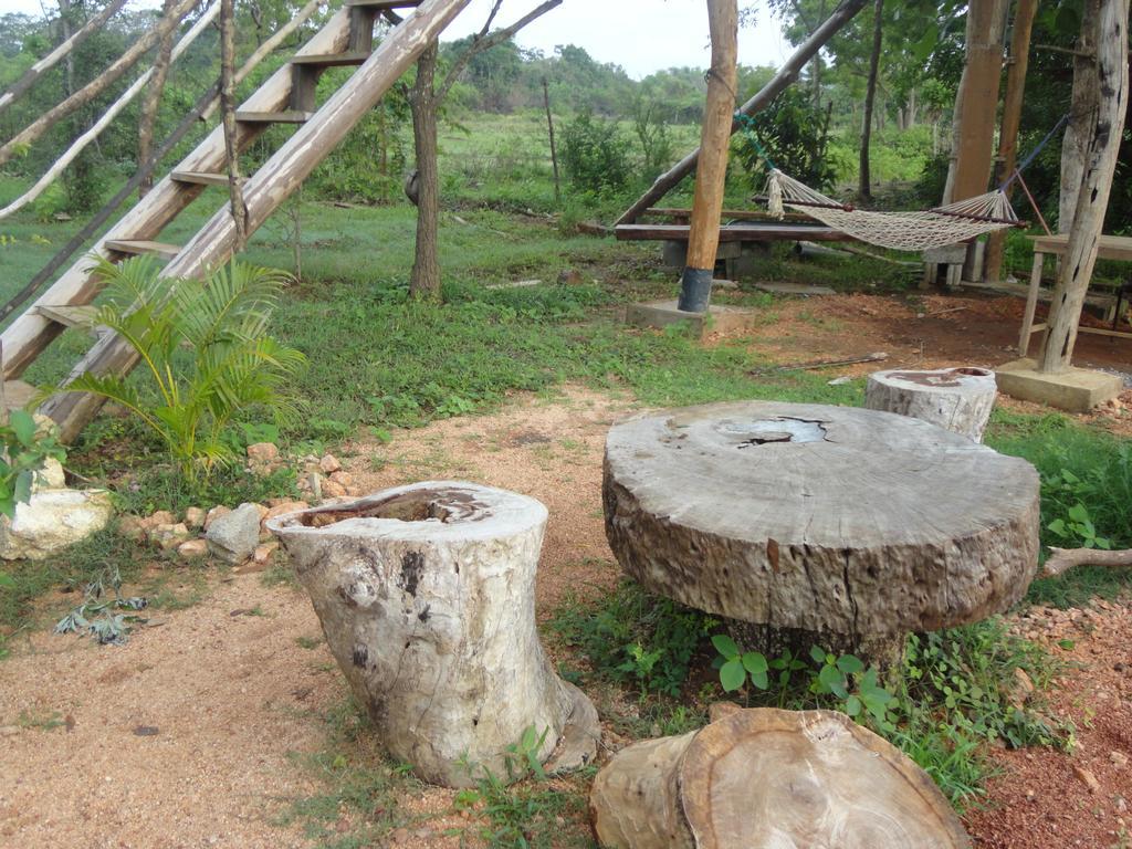 Sigiri Forest View Sigiriya Exterior foto