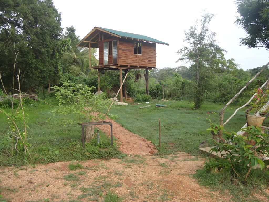 Sigiri Forest View Sigiriya Exterior foto