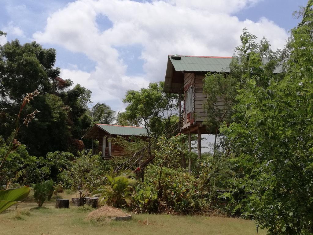 Sigiri Forest View Sigiriya Exterior foto