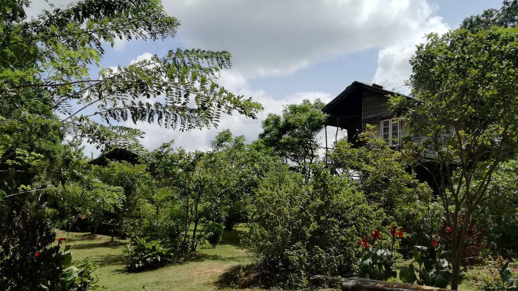 Sigiri Forest View Sigiriya Exterior foto